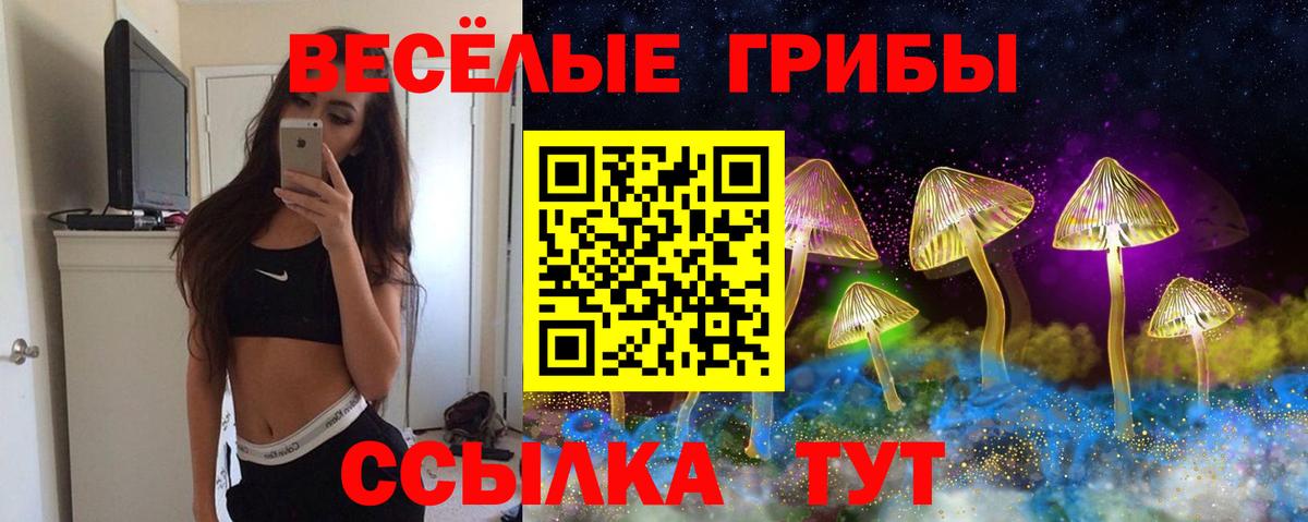 Обь  Галлюциногенные грибы мухоморы  Вход с VPN 