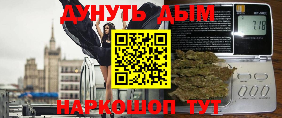 Каннабис планчик Обь